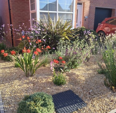A sunny gravel front garden featuring orange crocosmia, purple verbena, and ornamental grasses.