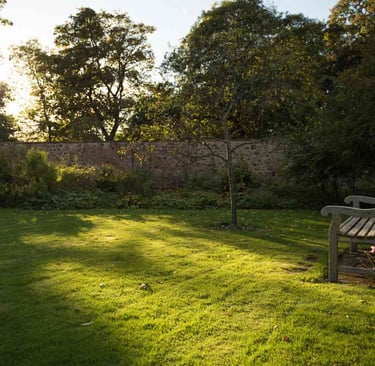 A wooden garden bench sits on a sunlit green lawn in a peaceful backyard garden with stone walls.