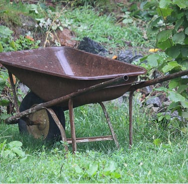 A vintage rusty metal wheelbarrow sitting on a green grassy lawn in a garden setting.