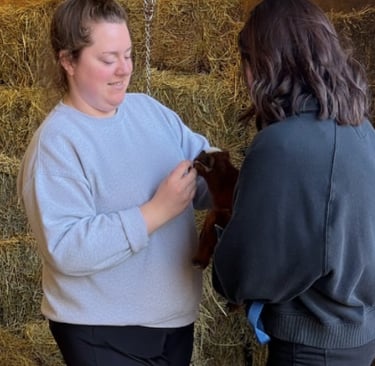 Owner and veterinarian doing wellness checks 