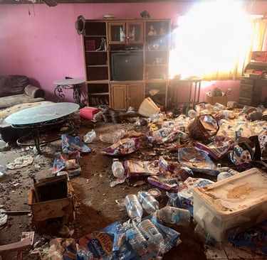 [hoarding cleaning services]