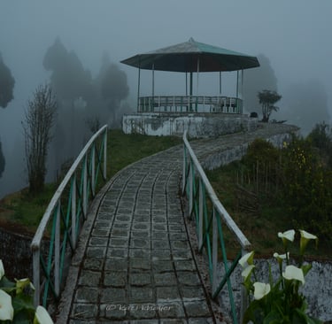 An artistic photograph of a bridge leading towards a shade in a misty day.