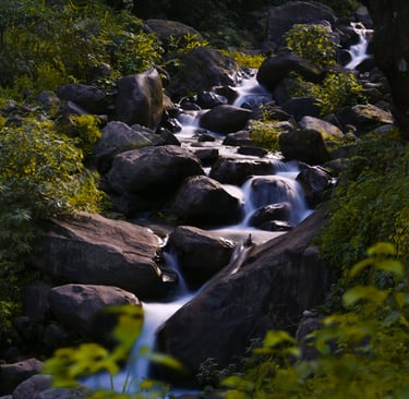 A stunning picture of a rivulet in long exposure.