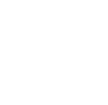 logo feuille blanc touche2style