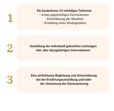 Infografik zum Ablauf der Ernährungsberatung: kostenloses Erstgespräch, Erstellung der individuellen