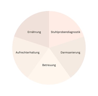 Infografik mit den fünf Schwerpunkten der Arbeit von Kristina Spieß: Ernährungsberatung für den Hund