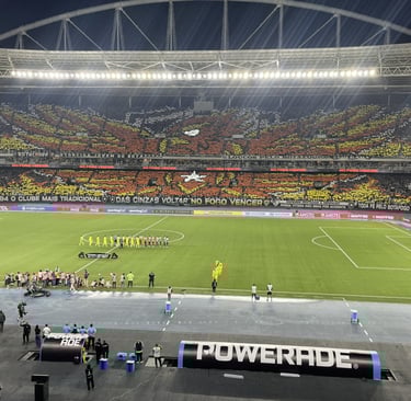 Mosaico com Temática fenix no Jogo de ida da L,ibertadores contra o Palmeiras nas oitavas 