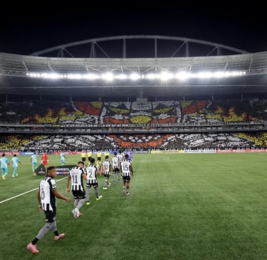 Mosaico do Botafogo na Libertadores