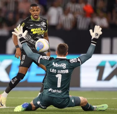 Júnior Santos fazendo gol pelo Botafogo