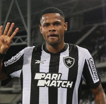 Júnior Santos do Botafogo