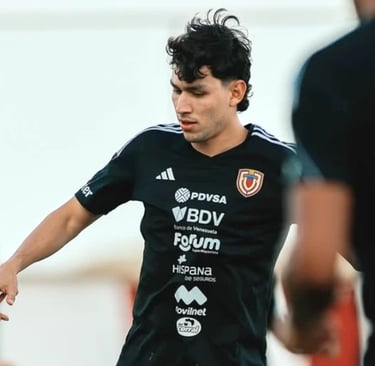 Zagueiro Ferraresi do  Botafogo