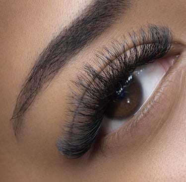 Close-up of voluminous black eyelash extensions and a groomed eyebrow on a brown eye.