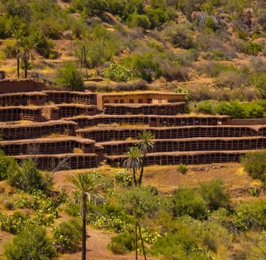 rucher d’Inzerki au Maroc, apiculture traditionnelle, miel rare