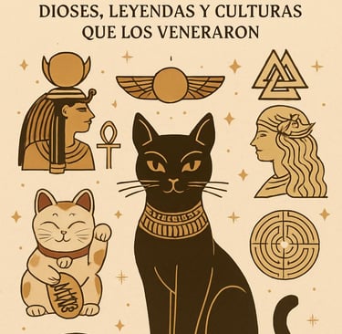 comprar gato egipcio
