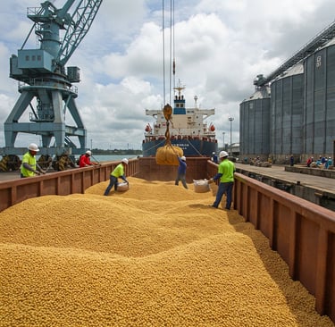 Brazilian soybeans being loaded onto a cargo ship