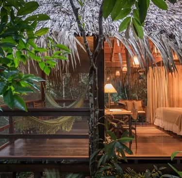 Hotel Room in the Middle of the Amazon
