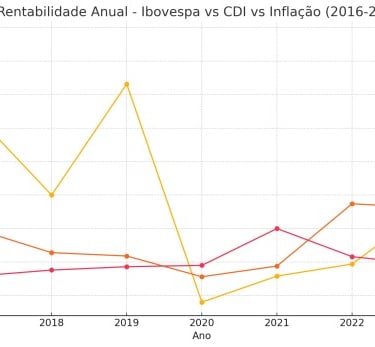 Brazilian Stock Market Rentability