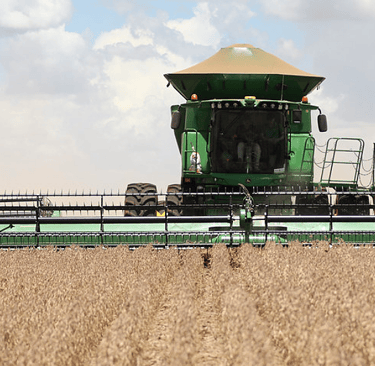 Soya Harvest Big machine