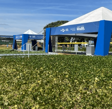 Embrapa Technology