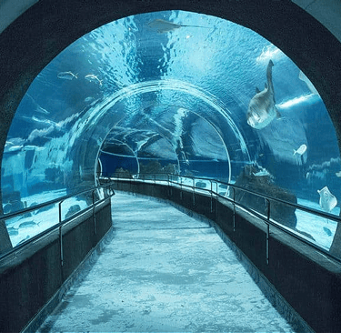 Santos' Aquarium