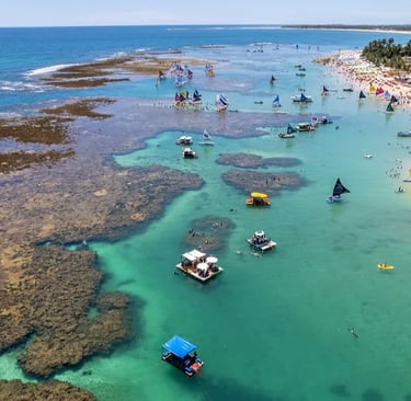 Natural Pools Porto de Galinhas