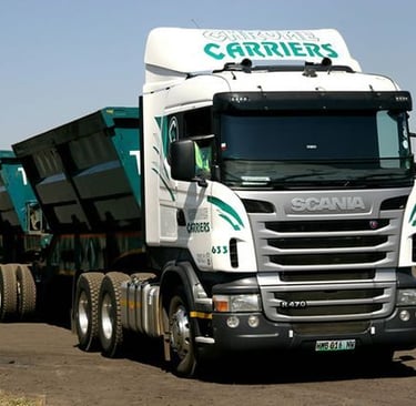 Off road and haulage truck on truck tyre size 315 80 r22.5