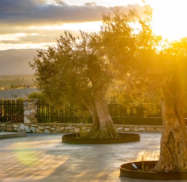 Country State for Weddings in Almeria, Andalusia