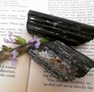 Black Tourmaline crystals with lavender on book pages