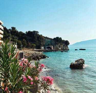 Pink flowers growing on the coast line of Albania