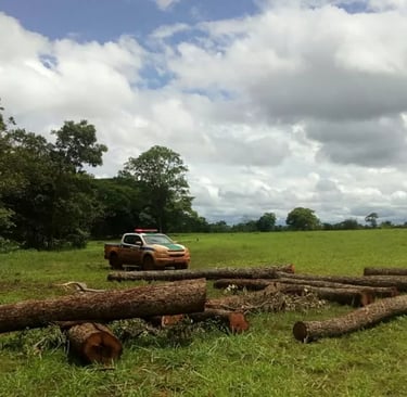 Contestação de Autuações Ambientais na Propriedade Rural: Estratégias Legais para Proteger os Direit