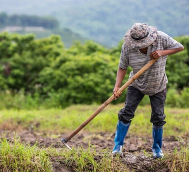Pensão por Morte para Trabalhador Rural Sem Registro