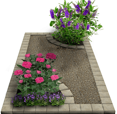 Tombe paysagère rosiers
