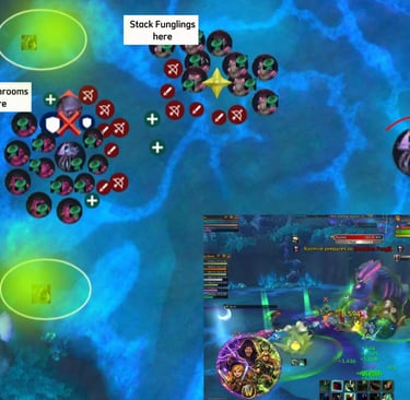 Sporefall strategy, wow midnight rotmire, rotmire boss guide, sporefall raid wow, wow rotmire guide, rotmire heroic guide