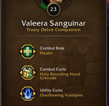 Valeera Sanguinar setup, Nullaeus, Torment's Rise, Midnight Nemesis,  WoW, Nullaeus, How to Beat Nullaeus