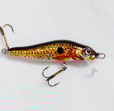 Photo by Karola G: https://www.pexels.com/photo/orange-and-black-fish-bait-on-white-surface-6478090/