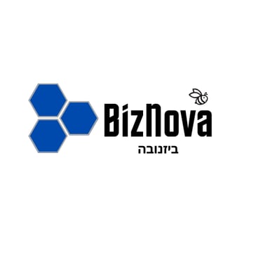biznova logo