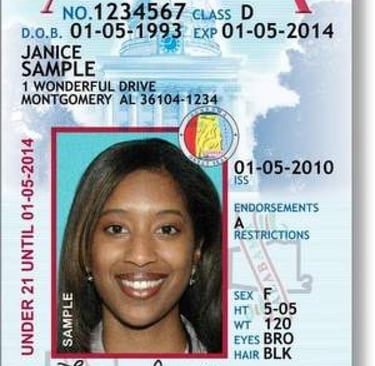 Usa drivers license