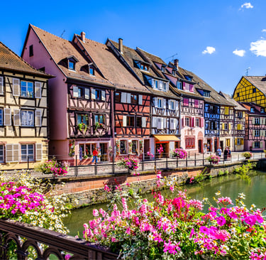 Colorful half-timbered houses and pink flowers along the Lauch River canal in Colmar, France.