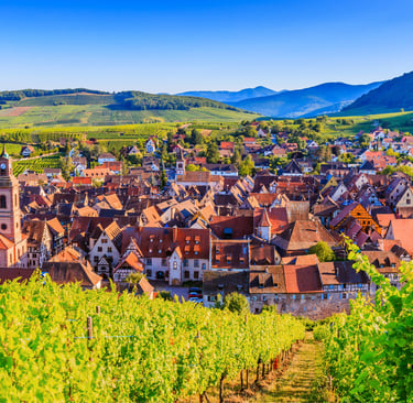 Panoramic view of Riquewihr village in Alsace, France, surrounded by lush green vineyards and mountains.