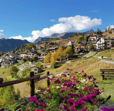 Scenic Alpine village in the Italian mountains with blooming purple flowers and rustic wooden benches.