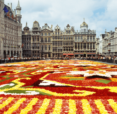 A colorful begonias flower carpet at Grand Place in Brussels with ornate gothic architecture.