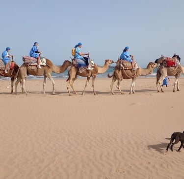 Tourists riding camels in a caravan on a sandy beach during a guided desert coastal tour.