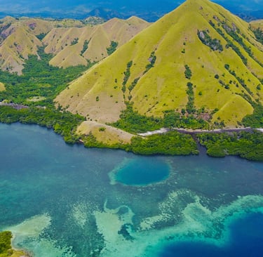 Aerial view of lush green volcanic hills and turquoise coral reefs in Komodo National Park, Indonesia.