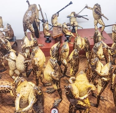 Taxidermy frogs at Froggyland museum arranged in a miniature human-like party and band scene.