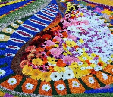 Vibrant floral carpet with intricate mosaic designs using colorful gerbera daisies and petals.