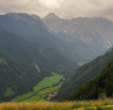 A scenic view of a lush green valley nestled between steep, forested alpine mountains under a cloudy sky.