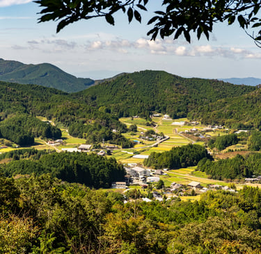 High angle view of a rural Japanese village valley with green rice fields and forested mountains.