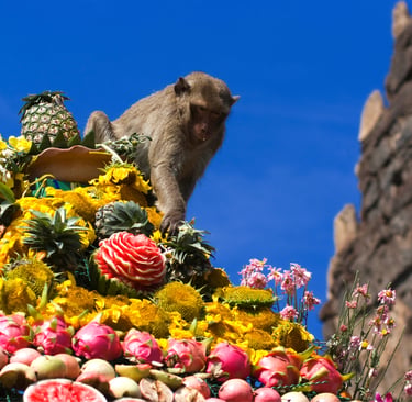 Macaque monkey eating from a colorful fruit and flower pyramid at the Lopburi Monkey Festival in Thailand.