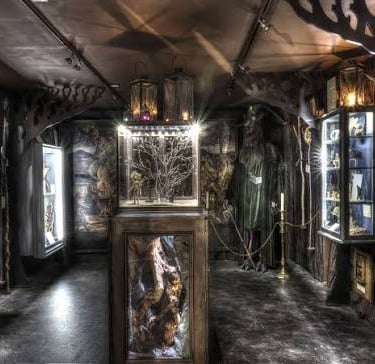 A dimly lit fantasy museum gallery filled with mystical artifacts, gothic decor, and ornate display cases.