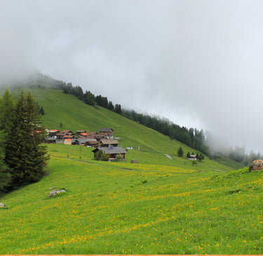 Misty landscape of a Swiss mountain village with wooden chalets and green meadows filled with yellow wildflowers.